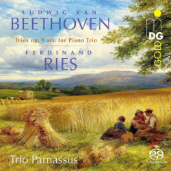 Beethoven Ries, Trios op.8 Trio Parnassus