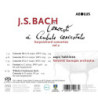 J.S. Bach (1685-1750), W.F. Bach - Intégrale des concertos pour clavier, vol.2 / Hakkinen