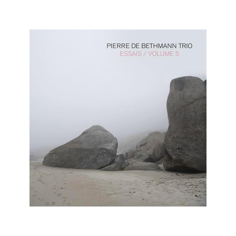 Pierre de Bethmann Trio,  Essais, vol.5