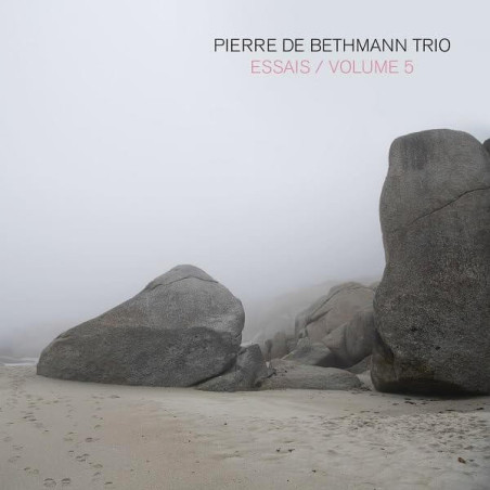 Pierre de Bethmann Trio,  Essais, vol.5