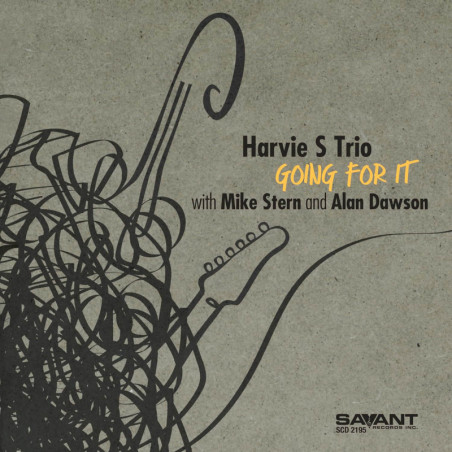 Harvie S Trio / Going for it / Mike Stern