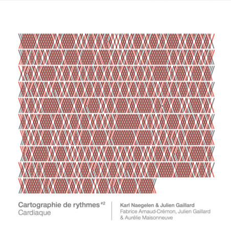 Karl Naegelen & Julien Gaillard Cartographie de rythmes 2