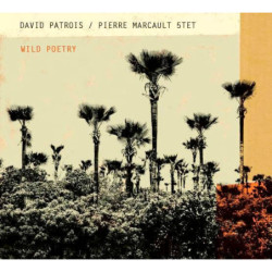 David Patrois Pierre Marcault 5tet Wild Poetry