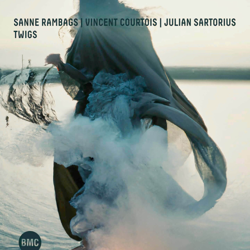 Sanne Rambags, Vincent Courtois Julian Sartorius Twigs