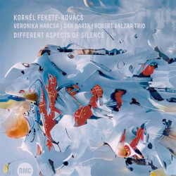 Kornel Fekete-Kovacs Different Aspects of Silence