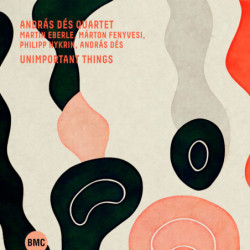 Andras dés Quartet Unimportant Things