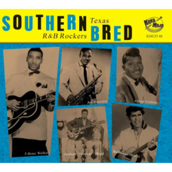 Southern Bred – Texas R&B Rockers Vol.10