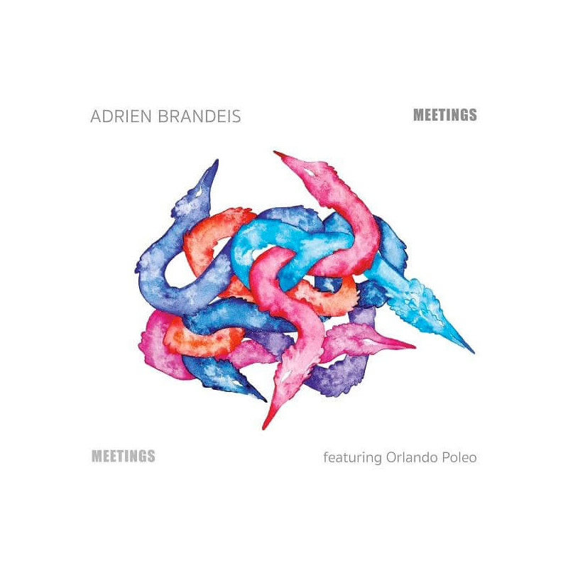 Adrien Brandeis Meetings