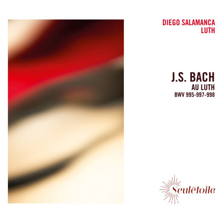 Bach au luth BWV 995-997-998h au luth Diego Salamanca