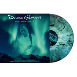 David Gilmour Northern Lights (2 vinyles)