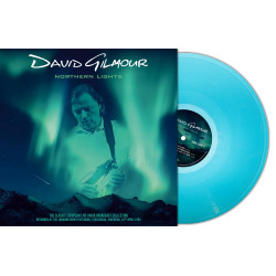 David Gilmour Northern Lights (2 vinyles)