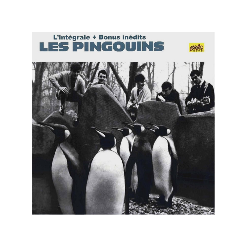 Les Pingouins