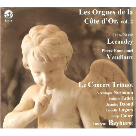 Les orgues de la Côte d'Or  jean-Pierre Lecaudey Pierre-Emmanuel Vaudiaux