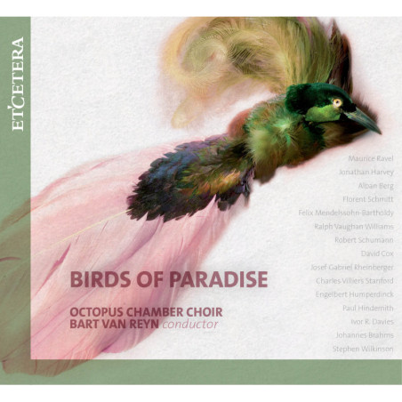 Birds of paradise  Octopus Chamber Choir