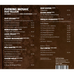 Duo Telluur - Evening Mosaic