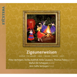 Zigeunerweisen / Doppler, Sarasate, Ravl - Peter Verhoyen, Ilonka Kolthof, Anke Lauwers, Thom