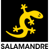 SALAMANDRE